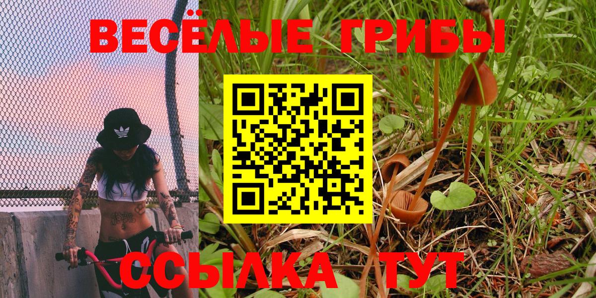 Галлюциногенные грибы GOLDEN TEACHER  Галлюциногенные грибы мицелий  Вход с VPN  Верхняя Пышма 